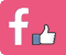 zur Facebook Fan Seite